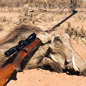 Hunting Warthog South Africa