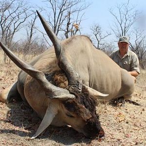 Hunting Eland in the Save Valley Conservancy, Zimbabwe