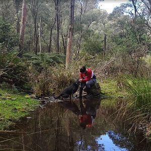 Australia Hunt