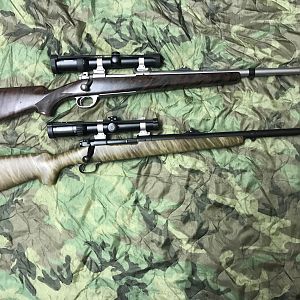 375 H&H Rifle & 416 Remington Rifle
