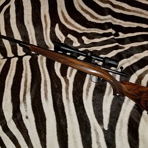 308 Mag Rifle