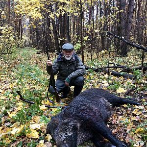 Boar Hunt Russia