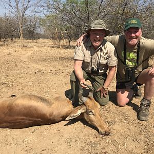 Hunt Lichtenstein's Hartebeest in Zambia