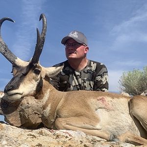 Pronghorn Hunting Nevada USA