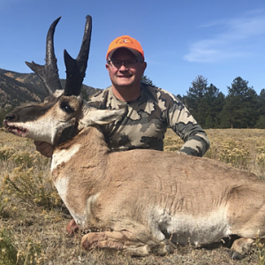 Colorado USA Hunting Pronghorn
