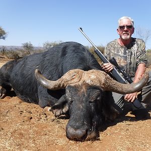 Hunt Cape Buffalo in South Africa