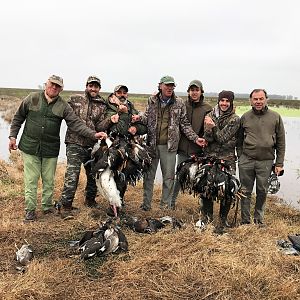 Argentina Hunting Duck