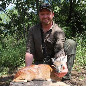 Hunt Red Forest Duiker in Mozambique