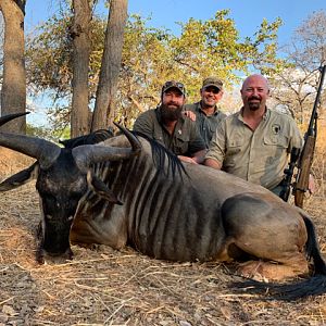 Zambia Hunt Cookson’s Wildebeest