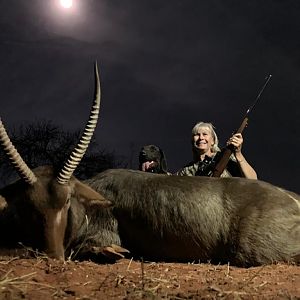 Waterbuck Hunting South Africa