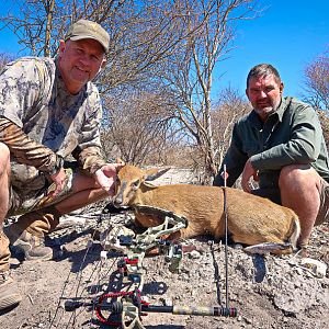 Namibia Bow Hunt Duiker