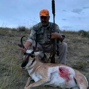 Pronghorn Hunting Wyoming USA