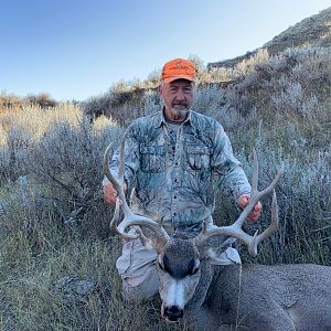 Wyoming USA Hunt Mule Deer