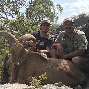 Hunting Aoudad in Texas