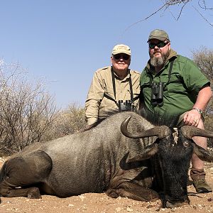 Botswana Hunting Blue Wildebeest