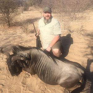 Blue Wildebeest Hunt Botswana