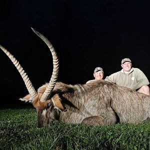 Waterbuck Hunting South Africa