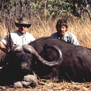 SCI #1 Cape Buffalo