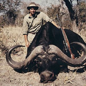 SCI #6 Cape Buffalo