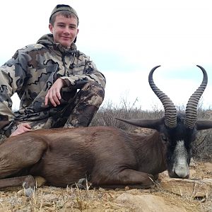 South Africa Hunting Black Springbok