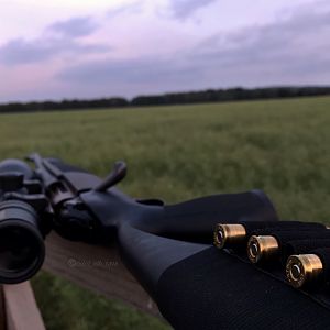Hunting Rifle & Norma Ammo