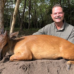 Hunt Red Duiker in Mozambique