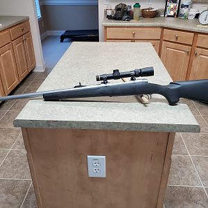 Winchester 70 Stainless Classic 375 H&H Rifle