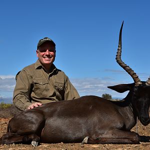 Black Impala Hunt South Africa