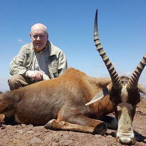South Africa Hunting Blesbok