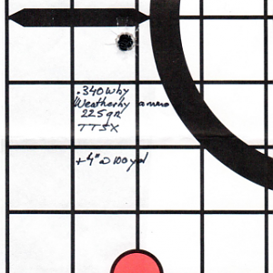 Factory Weatherby ammo .340 Wby 225 gr TTSX from a factory Mark V