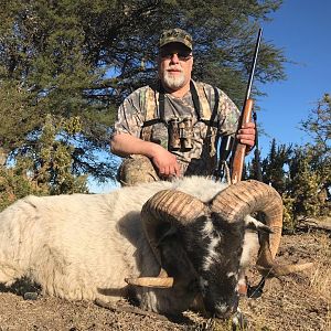 Hunting Scottish Blackface Sheep in Argentina