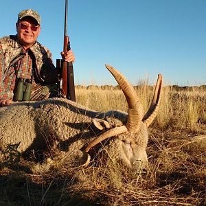 Argentina Hunt Four Horn Ram