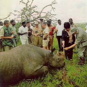 Hunting Rhino in Kenya