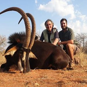 South Africa Hunt 46" Inch Sable Antelope