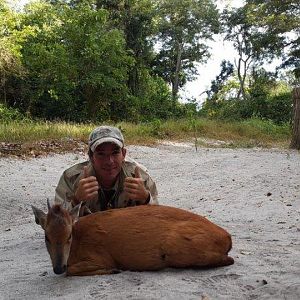 Mozambique Hunt Red Duiker
