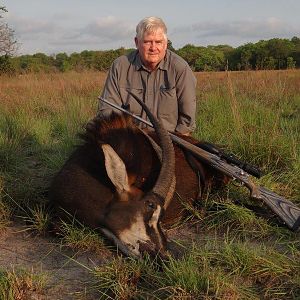 Mozambique Hunting Sable Antelope