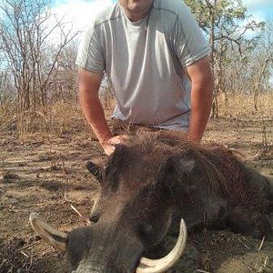 Warthog Hunt Mozambique