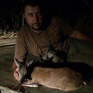 Hunting Red Duiker in Mozambique