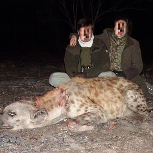 Spotted Hyena Hunt Mozambique