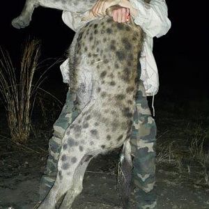 Hunt Spotted Hyena in Mozambique