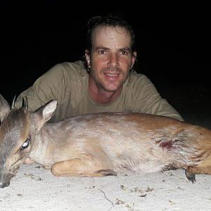 Hunt Red Duiker in Mozambique