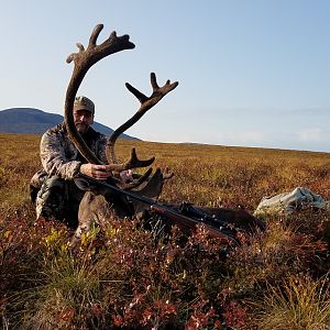 Alaska USA Hunting Caribou