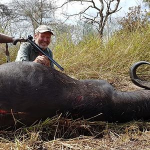 Hunt Cape Buffalo in Mozambique