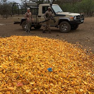 Oranges from a nearby processing facility