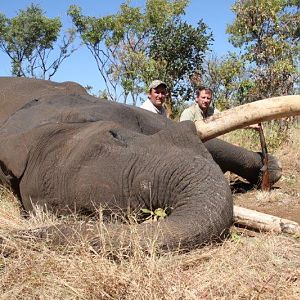 Hunt Elephant in Mozambique