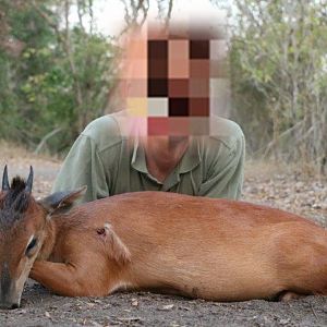 Mozambique Hunting Red Duiker