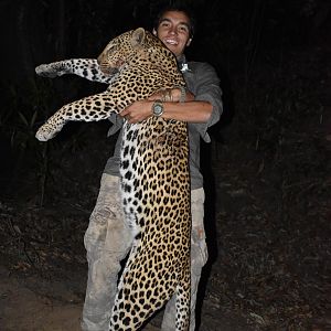 Mozambique Hunting Leopard