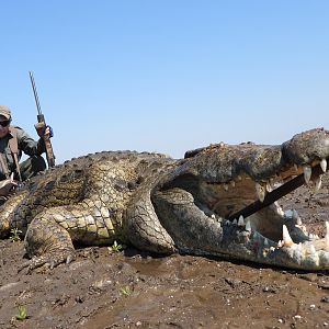 Mozambique Hunt Crocodile