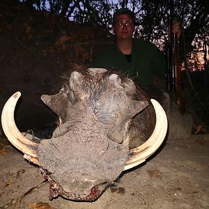 Hunting Warthog in Mozambique