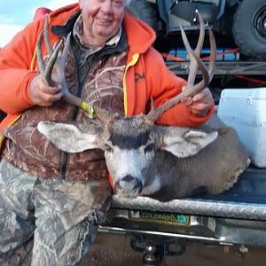 USA Hunting Mule Deer